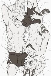 2boys 69_position anthro ass bed black_underwear bulge butt_grab clothing collar duo erection erection_under_clothes felid feline furniture gay hand_on_butt long_ears luxury_gin male male/male male_only mammal monochrome nuzzling oral serval sex slim underwear waist_grab yaoi