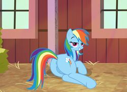 animal_genitalia animal_pussy ass equid equine_pussy female friendship_is_magic genitals hasbro hi_res mammal my_little_pony nardo_(artist) pussy rainbow_dash_(mlp) solo straight_hair