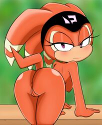 shade the echidna from sega by tenshigarden