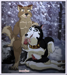 2008 anthro ball_fondling balto balto_(film) canine cum dog duo fellatio furry furry_only kneeling knot lonewolf male male_only mammal no_humans oral outdoors steele yaoi