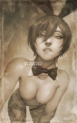 mikasa ackerman from attack on titan by neight