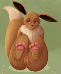 eevee from nintendo by isyld