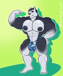 2021 abs abstract_background absurd_res anthro barazoku biceps big_bulge big_muscles big_nipples bulge canid canine canis clothing domestic_dog eyebrows flexing fur green_background grumpyfloof hair hand_on_hip hi_res looking_at_viewer male male_only mammal muscular muscular_anthro muscular_male navel nipples obliques pecs simple_background solo standing text thong tuft underwear url