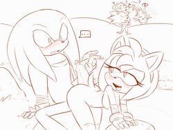 amy_rose amy_rose_(boom) hedgehog knuckles_the_echidna sonic_(series) sonic_boom sonic_the_hedgehog tails teasing