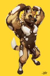 2021 african_wild_dog anthro balls canid canine digitigrade flexing foreskin genitals hi_res humanoid_genitalia humanoid_penis jaykat looking_at_viewer male mammal muscular muscular_male nipples pecs penis simple_background solo solo_male