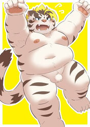 2021 absurd_res anthro balls belly blush felid flaccid genitals hi_res humanoid_genitalia humanoid_hands humanoid_penis kemono licho_(tokyo_afterschool_summoners) lifewonders male mammal moobs navel nipples overweight overweight_male pantherine penis ptcmtr simple_background solo tiger tokyo_afterschool_summoners video_games