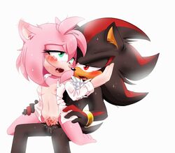 amy_rose in_lap penetration pink_fur pink_hair sonic_(series)