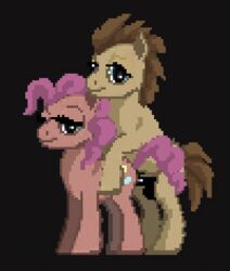 animated digital_media_(artwork) doctor_whooves_(mlp) duo equid equine female female_penetrated feral friendship_is_magic from_behind_position genitals gif hasbro horse low_res male male/female mammal my_little_pony penetration penile penile_penetration penis penis_in_pussy pinkie_pie_(mlp) pixel_art sex vaginal_penetration vermilion888