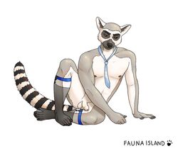 anthro balls clothing fauna_island feet footwear foreskin genitals invalid_tag lemur male mammal mostly_nude muscular necktie penis primate socks solo strepsirrhine suit work