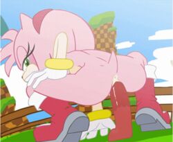 1girls 2d_animation amy_rose animated anthro anus boots bracelet breasts clothing dildo dildo_sitting exposed_torso female female_only footwear frame_by_frame fur gif gloves grass handwear hecticarts hedgehog humanoid insertion looking_back mammal mostly_nude outdoors penetration pink_fur riding_dildo rings sega sex_toy sideboob solo sonic_(series) squatting vaginal vaginal_insertion vaginal_penetration