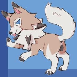 1:1 animal_genitalia animal_pussy anus blep blue_background blue_eyes brown_body brown_fur canid canine_pussy claws digitigrade female feral feralsoren finger_claws fur genitals looking_at_viewer lycanroc mammal midday_lycanroc nintendo pokémon_(species) pokemon pussy quadruped raised_tail simple_background solo toe_claws tongue tongue_out video_games white_body white_fur