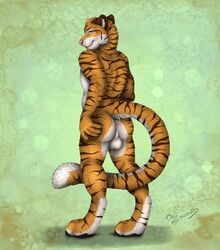 1boy 2015 anthro anus ass backsack balls digitigrade feline green_eyes looking_at_viewer looking_back male male_only mammal presenting solo staggard tiger