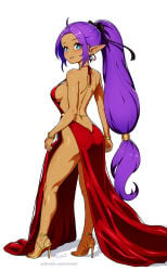 shantae (character) from shantae by revenantart