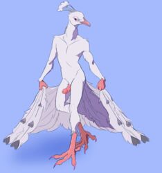 absurd_res anthro asurii avian beak biped bird claws colored_nails curtsey erection feathered_tail feathers galliform genitals heart hi_res humanoid_genitalia humanoid_penis male nails no_navel nude peafowl penis phasianid pink_body pink_claws pink_eyes pink_penis pink_scales pose presenting presenting_penis scales simple_background slim slim_male solo songbird_(tiso) standing talons toe_claws white_body white_feathers