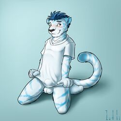 1:1 2014 anthro balls biped bottomless bulge clothed clothing covering covering_self digital_media_(artwork) felid fur genitals hi_res iztli kneeling leucistic male mammal pantherine scar shaded shirt solo storm-tiger tiger topwear