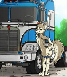 3_toes 4_fingers anthro bad_guy_cafe blush breasts clothed clothing feet female fingers fluffy fluffy_tail fur genitals grey_body grey_fur panties panties_down partially_clothed pussy silver_reichtum solo toes truck_(vehicle) underwear underwear_down vehicle white_body white_fur yellow_eyes ziegelzeig