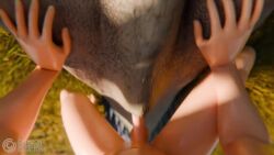 3d_(artwork) 3d_animation animated balls bird_wyvern capcom crimsoncreaturecreations digital_media_(artwork) duo erection female female_feral female_penetrated feral feral_penetrated first_person_view from_front_position genitals hi_res human human_on_feral human_penetrating human_penetrating_feral human_pov humanoid_genitalia humanoid_penis interspecies lying male male/female male_on_feral male_penetrating male_penetrating_female male_pov mammal missionary_position monster_hunter no_sound on_back penetrating_pov penetration penis scalie seikret sex tagme vaginal_penetration video zoophilia