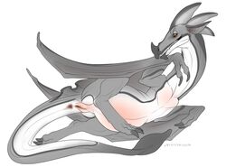 2021 anus ass belly big_belly claws dragon female feral genitals glaive_wyvern membrane_(anatomy) membranous_wings nude pregnant presenting presenting_hindquarters pussy qwertydragon scalie solo wings wyvern