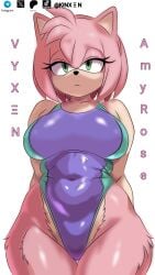 amy_rose big_breasts big_butt breasts sonic_(series) sonic_the_hedgehog_(series)