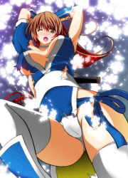 1girls big_breasts breasts brown_eyes brown_hair dead_or_alive female kasumi_(doa) kettsu large_breasts long_hair panties pantyshot pantyshot_(standing) torn_clothes underwear white_panties white_underwear