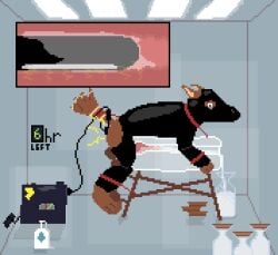 anatomically_correct anatomically_correct_genitalia anthro bdsm bodily_fluids bondage bound breeding_stand canid canine clothing crying digital_media_(artwork) electricity electrojac filling_container floofpaws forced genitals hi_res internal knot laboratory latex latex_clothing latex_skinsuit lube lube_bottle lube_drip lube_in_ass male mammal penile penis_milking pixel_(artwork) rape sad sex skinsuit solo tail tears tight_clothing torture uncontrolled_orgasm