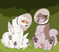2026 aleu_(balto) amaterasu_(okami) animal_genitalia animal_vulva anus arm_markings balto_(series) black_nose both_pregnant canid canine canine_genitalia canine_vulva canis capcom cheek_tuft claws cone_of_shame countershade_face countershade_torso countershading crossover duo eye_markings eyebrows facial_tuft female feral fuf fur genitals grey_body grey_fur half-closed_eyes hi_res leg_markings looking_down mammal markings medical_instrument multicolored_body multicolored_fur multiple_pregnancies narrowed_eyes okami_(capcom) pawpads pregnant pregnant_female pregnant_feral red_markings scientific_instrument shoulder_markings sitting sitting_on_ground socks_(marking) toe_claws tuft two_tone_body two_tone_fur universal_studios vulva white_body white_countershading white_fur white_markings wolf