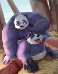 2021 aipangpangdeyua alp_(tokyo_afterschool_summoners) anthro belly black_nose bodily_fluids erection gay genital_fluids genitals giant_panda group hi_res humanoid_genitalia humanoid_hands humanoid_penis kemono lifewonders male male/male male_only mammal overweight overweight_male penis precum purple_body tokyo_afterschool_summoners tongue tongue_out ursid video_games white_body yaoi