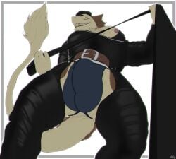 anthro balls balls_outline bdsm belt big_bulge brown_body brown_fur bulge chaps clothing detailed_bulge dominant dominant_anthro dominant_male first_person_view fur genital_outline genitals grey_background hi_res jacket jockstrap leash leash_pull leashed_pov leashed_viewer leather leather_clothing leather_jacket leather_topwear looking_at_viewer low-angle_view male male_anthro nipple_slip nipples pecs penis penis_outline sarquiat sergal simple_background solo tan_body tan_fur thick_thighs topwear underwear white_background