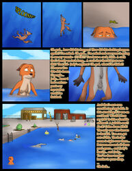 absurd_res amusement_park anthro ass balls big_butt bikini body_hair brown_bear canid canine cervid chest_hair circumcised comic disney elephant elephantid embarrassed embarrassed_nude_male felid female fox furry genitals gerryseinfeld giraffe giraffid group hi_res hiding humiliation lagomorph leporid lion male mammal micropenis nick_wilde nude pantherine penis penis_humiliation polar_bear proboscidean pubes public public_nudity rabbit scared small_penis small_penis_humiliation speedo swimming swimming_pool swimming_trunks swimsuit swimwear underwater ursid ursine water water_park zootopia zootropolis