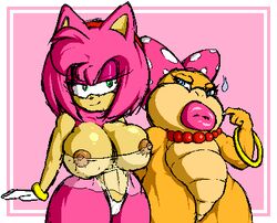 2girls amy_rose angelauxes anthro bow bracelet breasts crossover female female_only furry green_eyes huge_breasts koopa koopaling mario_(series) multiple_girls necklace nintendo nipples pink_background pink_hair polka_dot_bow scalie see-through sega simple_background sonic_(series) sonic_the_hedgehog_(series) standing thighs wendy_o._koopa white_border