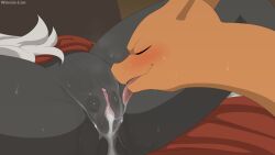charizard from nintendo by winick-lim