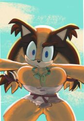 sticks the badger from sonic (series) by lewdmcgill