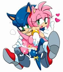 amy_rose penetration pink_fur sonic_(series) sonic_the_hedgehog watatanza