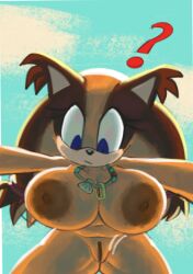 sticks the badger from sonic (series) by lewdmcgill