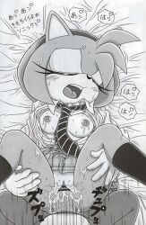 1girls amy_rose anthro bed breasts censored clitoris clothing dress faceless_male female furry furry_bomb furry_bomb_factory hedgehog japanese_text karate_akabon lying male mammal mitsuharu_takura mostly_clothed nipples open_mouth penetration pussy sex sonic_(series) spread_legs spreading straight sweat tagme text tongue vaginal_penetration