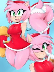 amy rose from sonic (series) by rtayyne19