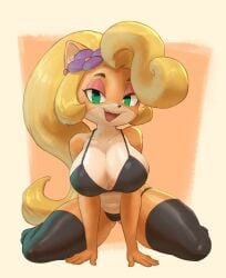 ass_visible_through_thighs belly belly_button big_breasts bra breasts butt_fang cameltoe cleavage coco_bandicoot collarbone crash_(series) flower_in_hair half_naked kneeling kneeling_female lickagoat looking_at_viewer panties posing posing_for_the_viewer sitting smiling_at_viewer thick thick_thighs thighhighs thighs underwear