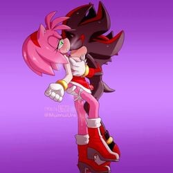 amy rose from sega by muimuitoby (artist)