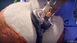 1girls 3d ambiguous_gender anal anal_insertion anal_juice anal_penetration animated anus blue_skin bodily_fluids bodily_fluids_from_ass bodily_fluids_in_ass breasts breasts_out brown_fur celestial_(league_of_legends) centaur centauress detailed_anus female fisting fisting_anus fisting_ass fisting_partner fur furry gaping_anus gloves league_of_legends lillia_(league_of_legends) puffy_anus reagan_long riot_games sideboob sloppy sloppy_anal sloppy_sounds soraka sound sound_effects tagme tattooed_arm tattoos video