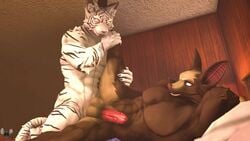 16:9 2020 2boys 3d abs anal anal_penetration anal_sex animated anthro anthro_on_anthro anthro_only anthro_penetrated anthro_penetrating anthro_penetrating_anthro ball_slap balls balls_deep bat bat_(petruz) bed cat_(petruz) chiropteran connivingrat digital_media_(artwork) domestic_cat duo erection felid feline furry furry_only gay genitals humanoid_genitalia humanoid_penis interspecies leg_grab leg_up lying male male/male male_only male_penetrated male_penetrating male_penetrating_male mammal moan mp4 muscular muscular_anthro muscular_male on_bed on_side penetration penis sex sound source_filmmaker spread_legs submissive_male thrusting video voice_acted yaoi