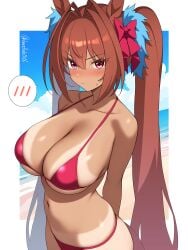 daiwa scarlet (umamusume) from umamusume by hanafuda (hanafuda0116)
