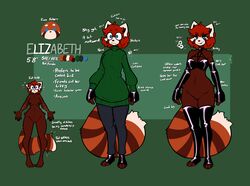 1girls ailurid anthro bottomless breasts character_sheet clothed clothing elbow_gloves embarrassed female female_only fully_clothed furry gloves liz_(mewgle) mewgle mostly_nude original_character pussy red_panda solo text thick_thighs thighhighs wide_hips