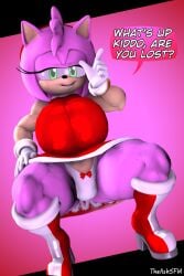 1girls 3d 3d_(artwork) ? amy_rose anthro anthro_female anthro_only ash555 commission dialog dialogue dialogue_bubble green_eyes hand_on_hip hedgehog hedgehog_ears hedgehog_girl hedgehog_humanoid kabalmystic_(style) mobian mobian_(species) mobian_hedgehog mouth_opened open_mouth opened_mouth panties pink_fur question red_footwear revealing sega solo solo_anthro solo_female sonic_(series) sonic_the_hedgehog_(series) squatting tan_body theashsfm upskirt upskirt_view viewer_pov white_gloves white_handwear white_panties