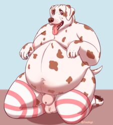 animal_genitalia anthro canid canine canis clothing dalmatian domestic_dog fat_man genitals hi_res jacob_(treebarkdragon) leggings legwear male mammal overweight overweight_male sheath slightly_chubby solo treebarkdragon