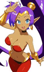 shantae (character) from shantae by revenantart
