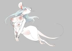 2021 anthro biped blue_eyes blue_hair blush breasts collar cuff_(restraint) digital_media_(artwork) female fur grey_background hair mammal mouse multi_breast murid murine nipple_chain nipple_piercing nipple_ring nipples piercing restraints rodent shackles shebeast simple_background solo white_body white_fur