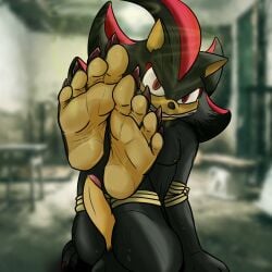 1:1 4_toes angry anthro arms_tied balls basement big_feet big_toes black_body black_fur black_nose bodily_fluids bondage bound claws colored de_volt erection eulipotyphlan feet feet_tied foot_fetish foot_focus front_view fur gag gagged genitals hedgehog hi_res kidnapping legs_tied looking_at_viewer male mammal musk musk_clouds musky_feet nipples paws penis red_eyes red_stripes sega shadow_the_hedgehog sitting sitting_on_ground solo sonic_(series) sonic_the_hedgehog_(series) stripes submissive submissive_male sweat toe_claws toes