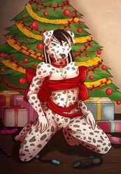 2015 anal_beads annairu anthro big_bow bottomless bottomless_female bow_ribbon canid canine canis christmas christmas_ornament christmas_present christmas_tree clothed clothing collar dalmatian dildo domestic_dog egg_vibrator female genitals green_eyes hi_res holidays kneeling looking_at_viewer mammal nadine_(dalmatiannadine) plant pussy ribbons sex_toy smile solo tree vibrator