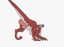 animal_genitalia animated cloaca cloacal cloacal_penetration deep_penetration dinosaur divas dromaeosaurid duo feathers female feral furry genitals male male/female penetration red_body red_eyes red_feathers reptile scalie sie'rah stomach_bulge theropod utahraptor