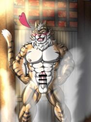 abs anthro balls blush erection felid fur genitals hi_res hot_spring lifewonders live-a-hero male male_only mammal mask muscular muscular_anthro muscular_male nipples nude pantherine pecs penis ryekie_(live-a-hero) solo striped_body striped_fur stripes superhero tiger video_games water yom_mido_plus